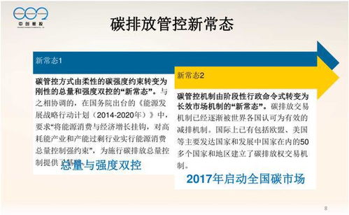 构建大型控排企业高效碳资产管理体系 策略、实践与数字化工具